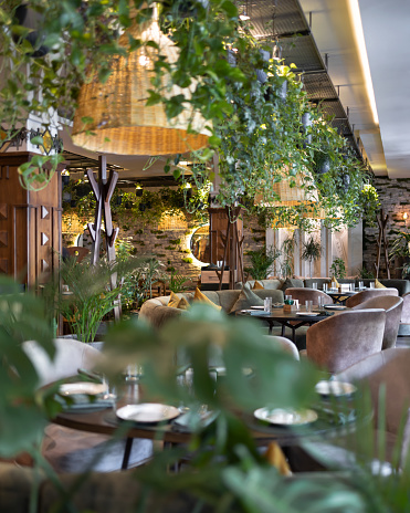 Design of restaurant interior with greenery.