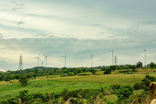 The wind power plant is near the corn fields and rice fields. A landscape with 17,000 islands makes the wind one of Indonesia's most potential alternative sources of electrical energy.