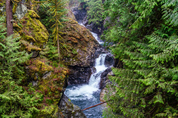 istock Twin Falls Landscape 6 1483591526