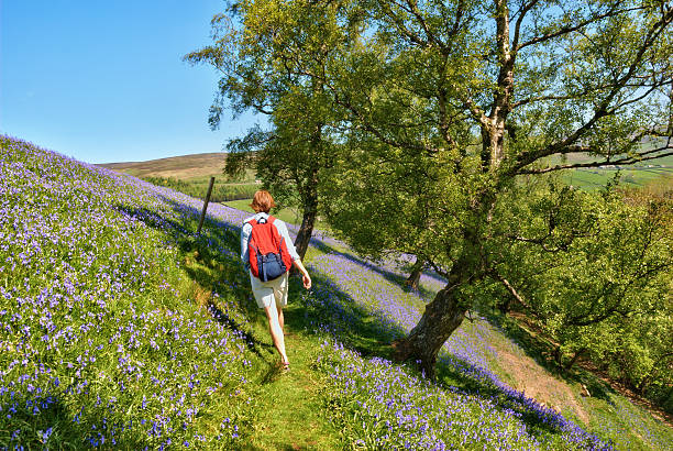 buty chodzić przez bluebells - swaledale zdjęcia i obrazy z banku zdjęć