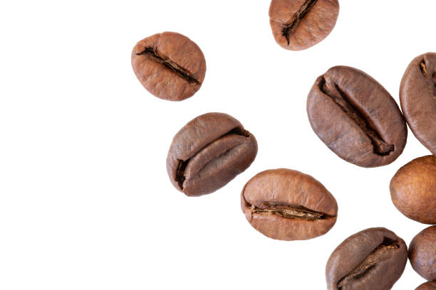 istock Roasted coffee beans on white background, macro, Coffea. 1483594912