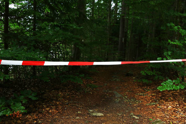 A barrier tape for a crime scene or a dangerous forest trail