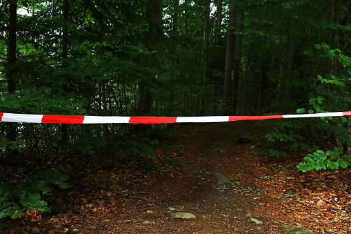A barrier tape for a crime scene or a dangerous forest trail