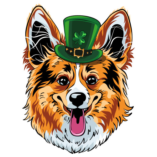 ilustraciones, imágenes clip art, dibujos animados e iconos de stock de vector hipster perro corgi galés pembroke - st patricks day dog irish culture leprechaun
