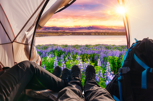Legs of couple relaxing inside a tent with lupine flower blooming by the lake in the sunset
