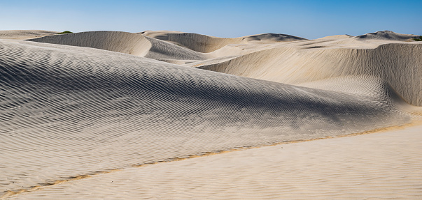 Desert Wanderlust: Exploring the Vast Sand Dunes at Sunset