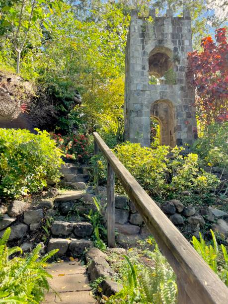 Saint Kitts Garden Lush Garden and sugar mill bell tower  on St Kitts utah state university stock pictures, royalty-free photos & images