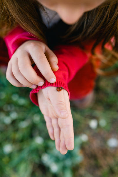 A ladybug sits gently on a person's hand in a vibrant flower field under a clear blue sky.