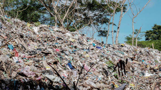istock Waste Management in Ambon City 1483603373