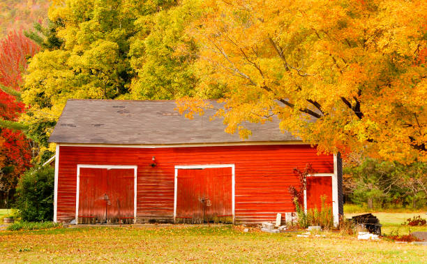 istock Red New England barn  in Autumn with brilliant fall foliage 1483604182