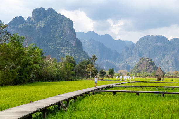 vang vieng, laos, sudeste asiático. - laos hut southeast asia shack fotografías e imágenes de stock