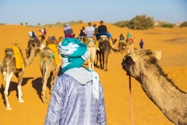 kuvapankkikuvat ja rojaltivapaat kuvat aiheesta kameleilla ajavat turistit autiomaassa, merzouga, erg chebbi, sahara, marokko - sand mountain