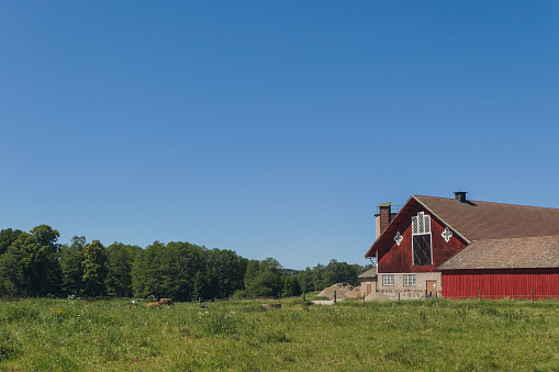 Barn on field against blue sky during summer