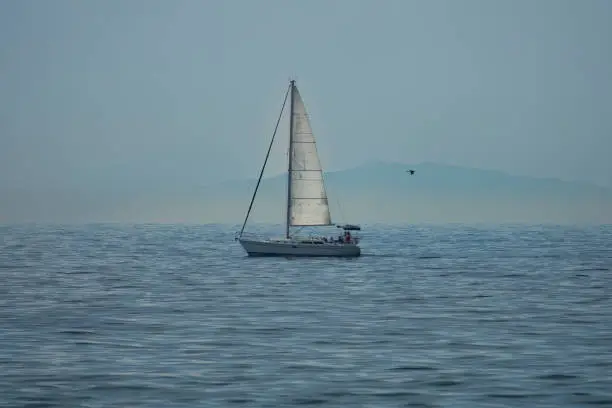 Photo of View of a sail boat passing in front of catalina island, from Ocean Beach, Orange county, California