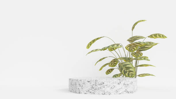 istock 3d product display podium scene with the geometric platform. 3d cylinder stand podium. Commercial background. Geometric forms in modern minimal design. 3d rendering. 1483610707