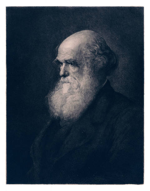 illustrations, cliparts, dessins animés et icônes de gravure de portrait de charles darwin 1894 - charles darwin engraved image old fashioned etching