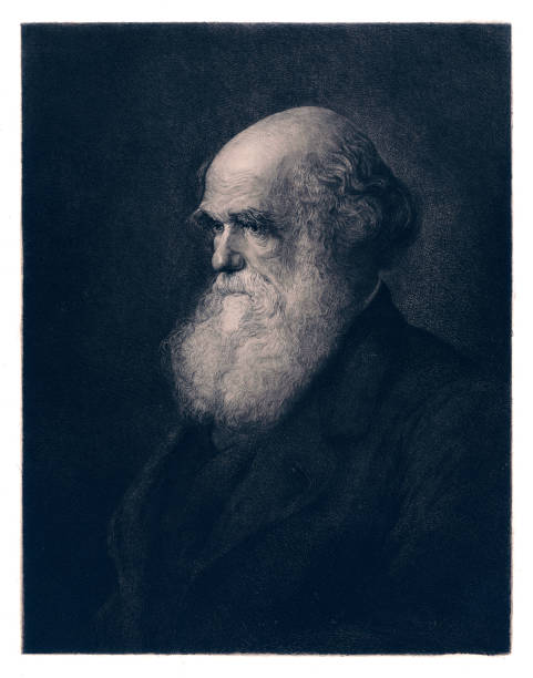 Darwin Invention 1,100+ Charles Darwin Stock Photos, Pictures & Royalty-Free Images - iStock