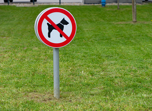 Close-up photo of a no dogs allowed sign on a metal pole placed on the grass