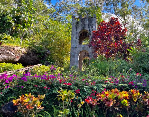 istock Saint Kitts tropical garden 1483614158