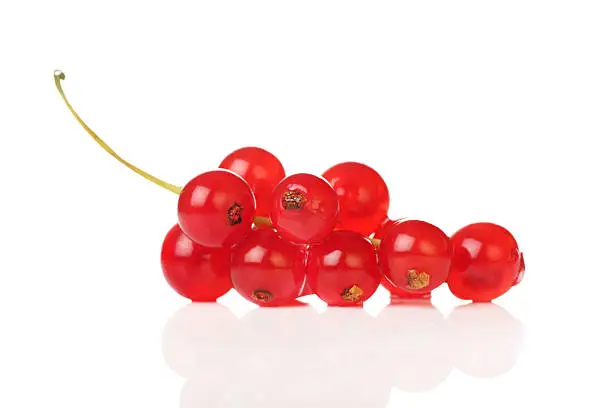 Freshly picked redcurrants isolated on a white background