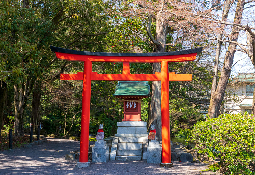 Tokyo, Japan - March 22, 2023: Red torii and Sakura blossoms in Fujisan Hongu Sengen Taisha shrine.