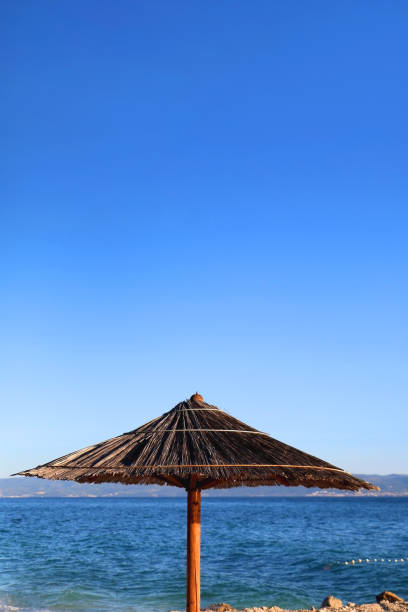 istock Bamboo Parasol and Sea 1483616922