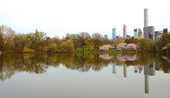 Picturesque Landscape with Turtle Pond in Central Park and skyscrapers and towers in Manhattan in spring. New York City