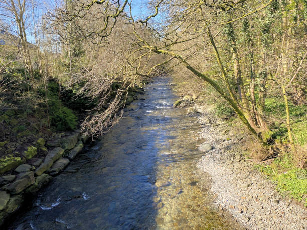 istock A view of a Stream in the Lake District 1483625002