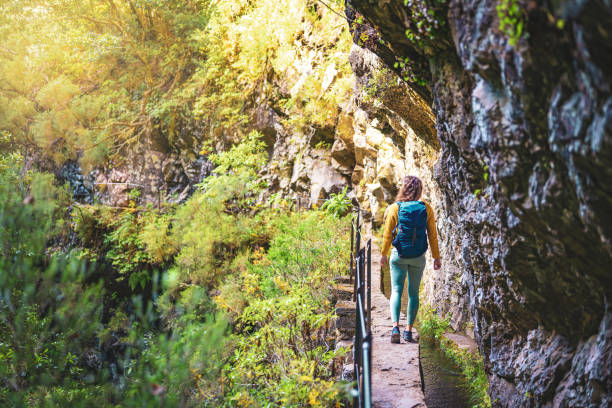 istock Backpacker woman walking below big rock wall along water canal through Madeiran rainforest. Levada of Caldeirão Verde, Madeira Island, Portugal, Europe. 1483626362