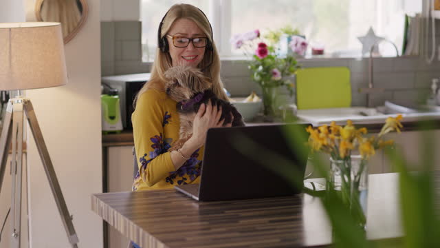 Video call, dog and remote work on a laptop with a woman at home for business or communication. Virtual meeting, headphones and pet with a happy female entrepreneur or employee working in her house