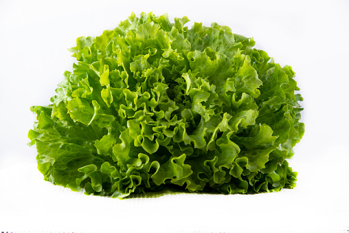 Green salad on white background