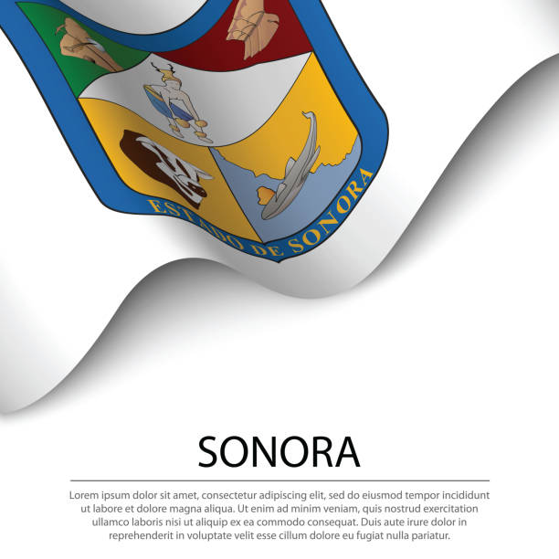 die wehende flagge von sonora ist ein bundesstaat mexikos auf weißem hintergrund. - sonora state stock-grafiken, -clipart, -cartoons und -symbole