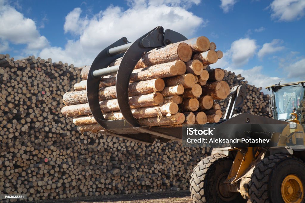 Front Load Logs Loading Logs With A Special Loadertimber Products Warehouse On A ...