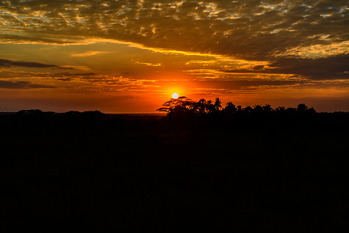 Landscape at Serengeti national park at sunset, Tanzania