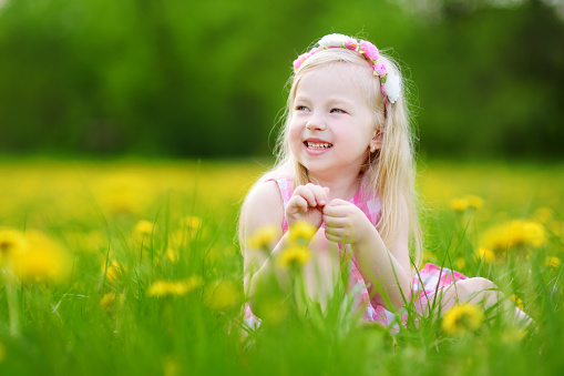 Adorable little girl in blooming dandelion meadow on beautiful spring day. Child having fun outdoors picking fresh flowers.