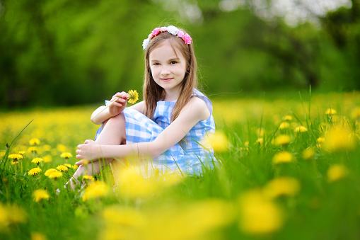 Close up photo of toddler girl lying on front on yellow wildflowers and holding a dandelion. Selective focus on model. Shot with a full frame mirrorless camera.