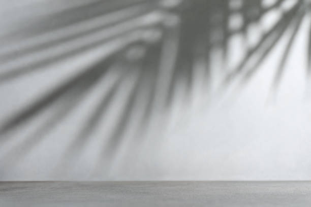 istock Shadow from palm leaves on a grey concrete wall 1483649608