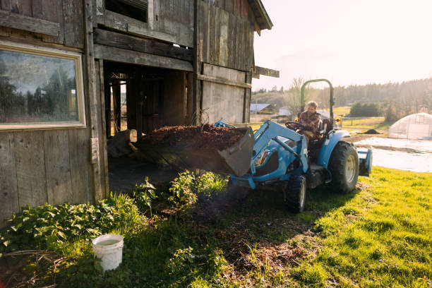 istock Farmer Driving Tractor on Farmland 1483652980