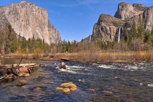 A Spring day view of Merced River running freely in Yosemite Valley, with El Capitan and Bridalveil Falls towering at shore. Yosemite National Park, California, USA.