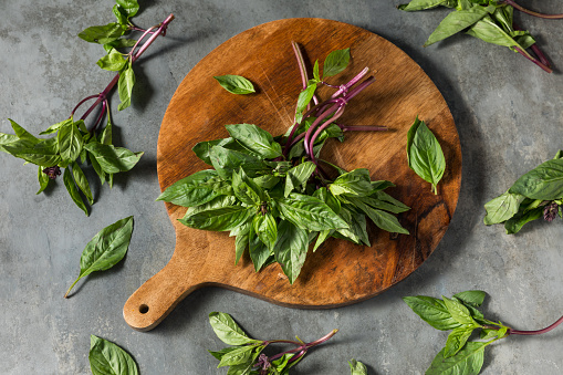 Raw green vegetables and fresh herbs arranged in a frame. Cooking clean eating concept. Healthy food.Top view.