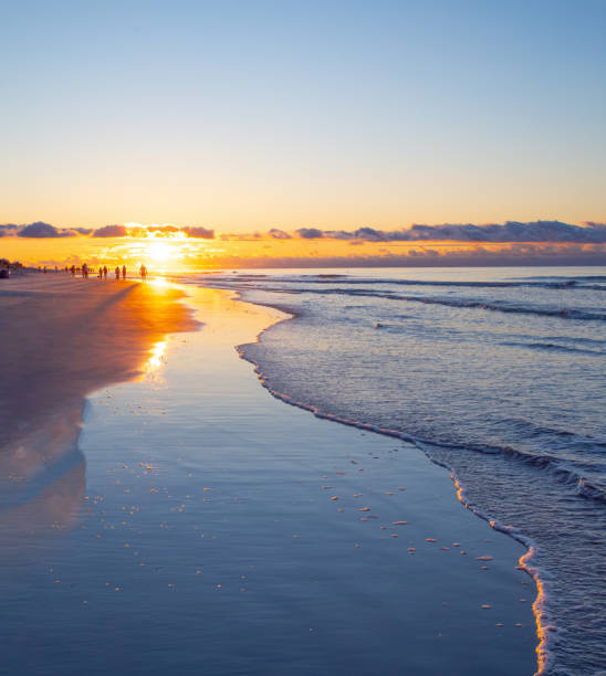 istock Beach Sunrise-Hilton Head, South Carolina 1483665681