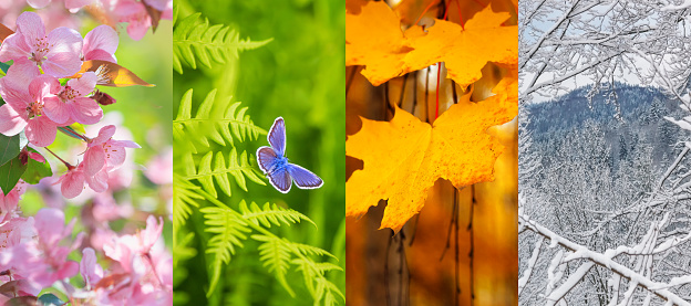 Set of beautiful photos of nature in winter, spring, summer and autumn. Collage of four seasons