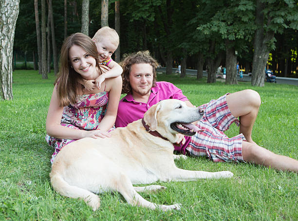 istock Family in the park 148367140