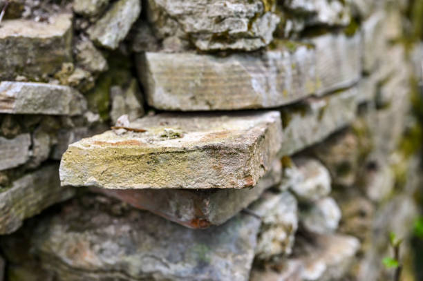 istock Wall of in ruins 1483676151
