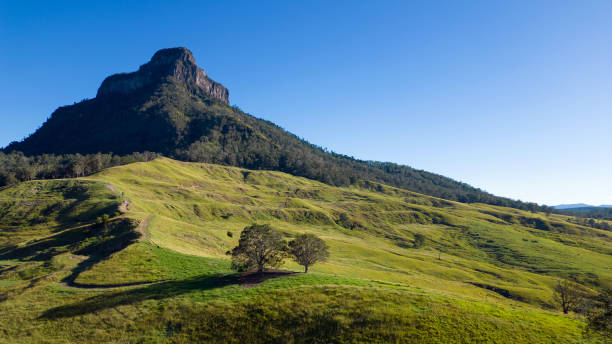 istock Mount Lindesay, Queensland, Australia 1483689138