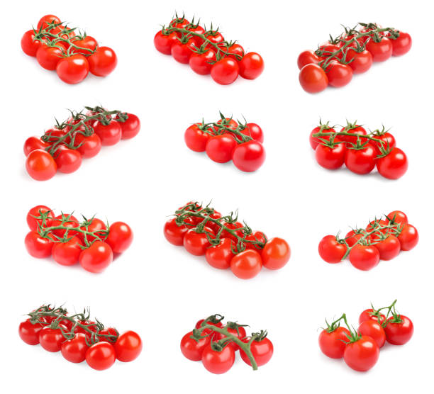 istock Set with tasty ripe cherry tomatoes on white background 1483692457