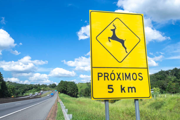 Itatiba-sp,brasil-April 19,2023 Sign indicating the risk of animals passing on the highway.