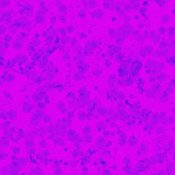 You can use that file in :
making them ideal for large prints,
web backgrounds,
stickers,
fabrics,
architectural drawings,
floor,
Scrapbooking,
cut machines,
vinyl decals,
printable designs,
cards & Invitation objects,
engraving,
cricut,
wedding props,
decoupage,
dollhouse sheet,
miniature homes sheet,
crystal, crystal background, crystal paper, seamless crystal, crystal texture, crystal pattern,
seamless, seamless pattern, seamless texture, crystal font, light texture, shiny, shiny background,
shiny foil, glass texture, glass paper, printable, digital paper, glitter,
abstract paper, abstract liquid, abstract seamless, abstract font, glass crystal, glass paper,
glass sheet,
SEAMLESS CRYSTAL TEXTURES, glass patterns, glitter digital papers, Printable Scrapbook, shiny materials, light strata, tileable papers, ocean endless graphic, high quality paper, 3d material, pbr texturas cristalinas abstractas sin costuras, papel líquido, patrones de vidrio, papeles digitales brillantes, álbum de recortes imprimible, materiales brillantes, estratos ligeros, papeles mosaicables, gráfico abstracto océano sin fin, material 3d, pb