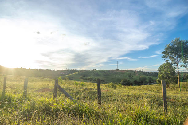 istock Landscape of pasture, plains with grass, late afternoon with clouds 1483700250