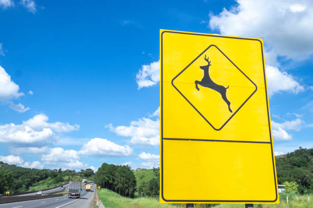 Sign indicating the risk of animals passing on the highway.Animals crossing warning road sign
